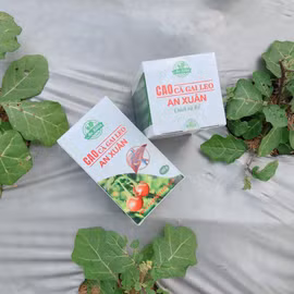 Thực phẩm bảo vệ sức khỏe Cao cà gai leo An Xuân