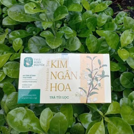 Trà Kim ngân hoa túi lọc