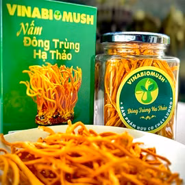 Nấm Đông trùng hạ thảo khô Vinabiomush