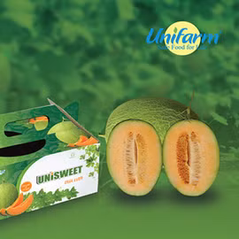 Dưa lưới Unifarm 