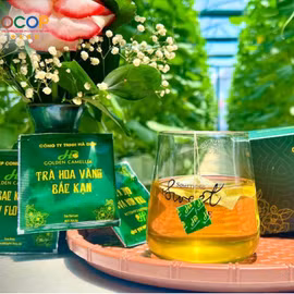 Trà hoa vàng Bắc Kạn túi lọc 