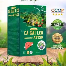 Trà túi lọc Cà gai leo Atiso