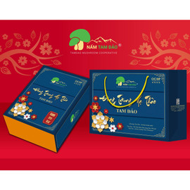 Đông trùng hạ thảo Tam Đảo sấy thăng hoa