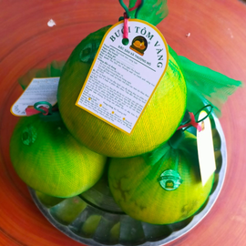 Bưởi tôm vàng Thượng Mỗ