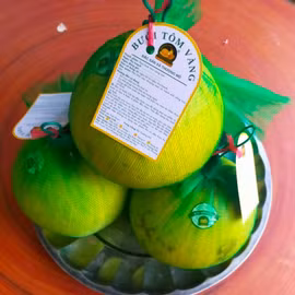 Bưởi tôm vàng Thượng Mỗ