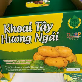 Khoai tây Hương Ngải