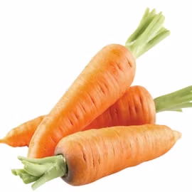 Cà rốt sạch Đông Anh