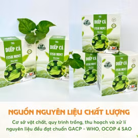 Trà túi lọc diếp cá