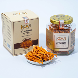 Đông trùng hạ thảo khô KOVI