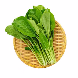 Cải ngọt hữu cơ Vinh Hà