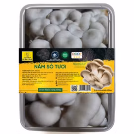 Nấm sò tươi Tuấn Linh