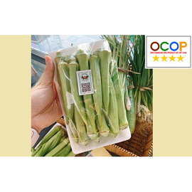 Đậu bắp Túy Loan