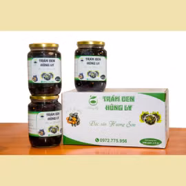 Trám đen Hùng Ly