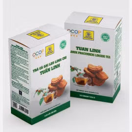 Trà cà gai leo linh chi Tuấn Linh