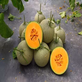 Dưa lưới Chiêm Hóa