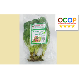 Rau xà lách Túy Loan