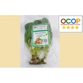 Rau xà lách Túy Loan