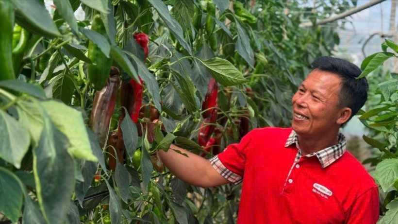 Nông dân Mộc Châu (Sơn La) tiếp cận công nghệ cao trong khuôn khổ Dự án "Nông nghiệp thông minh vì thế hệ tương lai".