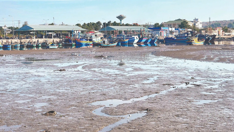 Cảng cá Phú Hài thường xuyên bị bồi lấp.
