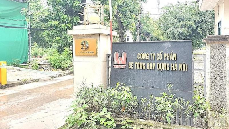 Dù đã chuyển công tác khỏi Công ty cổ phần bê tông xây dựng Hà Nội 3 năm, nhưng đến nay bà Vũ Thị Thái Hà vẫn chưa được chuyển sinh hoạt Đảng.
