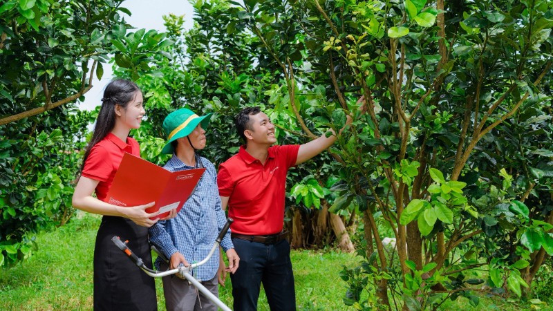 Agribank ưu tiên tài trợ cho các dự án nông nghiệp công nghệ cao, năng lượng tái tạo, trồng rừng và kinh tế tuần hoàn.