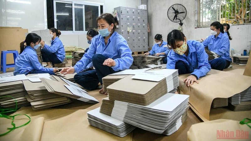 (Ảnh minh họa: THÀNH ĐẠT)