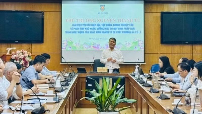 Thứ trưởng Tư pháp Nguyễn Thanh Tú chủ trì buổi làm việc.