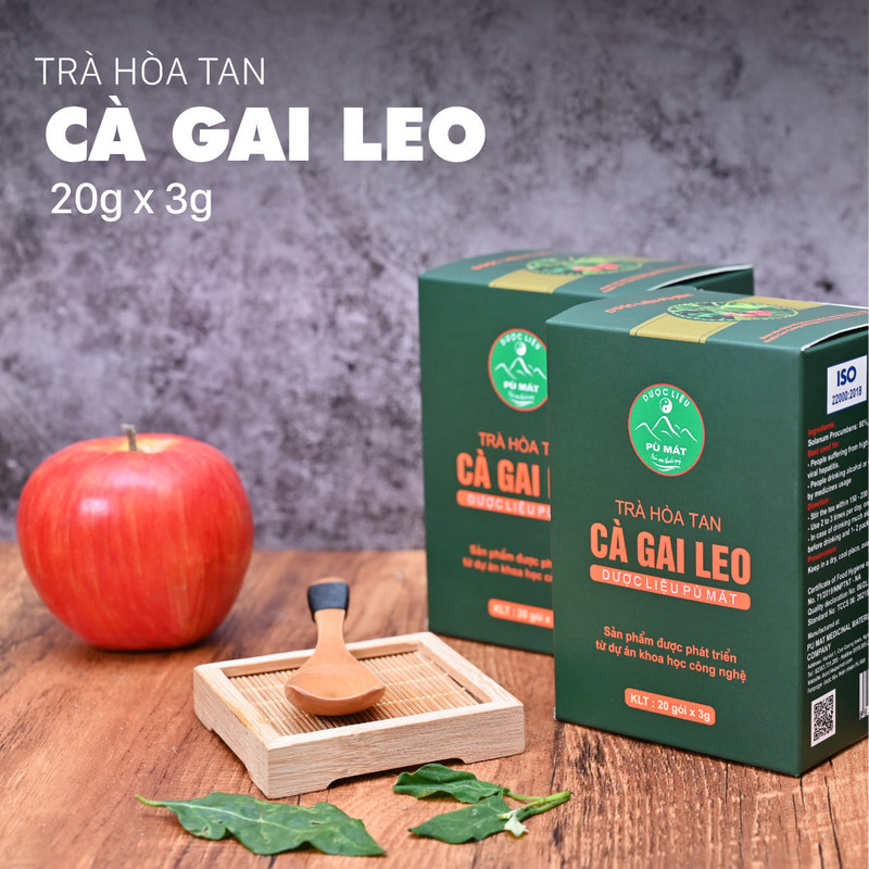 Trà hòa tan cà gai leo Pù Mát