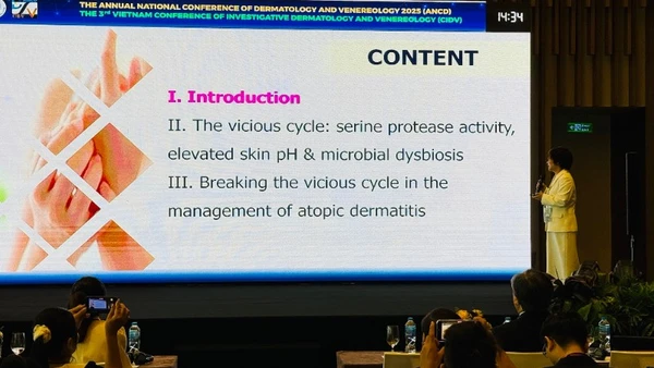 Báo cáo viên trình bày tại hội nghị.