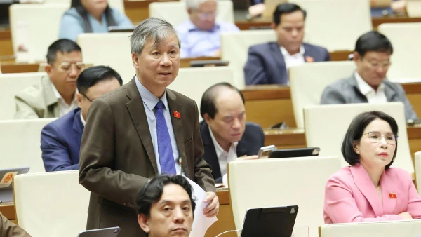 Đại biểu Nguyễn Anh Trí (Đoàn Hà Nội).