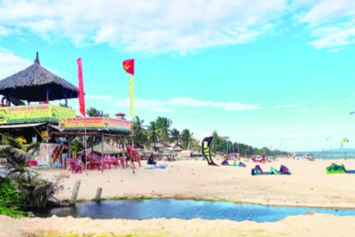 Từ đoạn resort Ca Ty Mui Ne đến Ngoc Bich Bungalow, những “ao” nước đọng lại do hệ thống thải nước của thành phố thoát ra, với từng mảng rêu xanh.