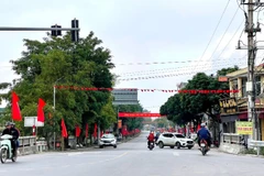 Diện mạo nông thôn xã Lai Thành khởi sắc từ phong trào thi đua yêu nước.