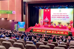 Đây là nhiệm kỳ đầu tiên sau sáp nhập, Hội Nông dân tỉnh thực hiện mô hình tổ chức Hội tinh gọn, hoạt động hiệu lực, hiệu quả hơn.