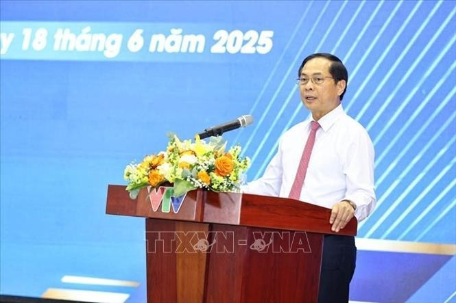 Đồng chí Bùi Thanh Sơn, Phó Thủ tướng Chính phủ, Bộ trưởng Ngoại giao phát biểu chỉ đạo. (Ảnh: TTXVN) nha-bao-tre-180625-1.jpg