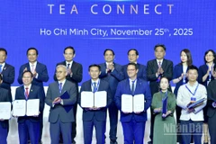 Thủ tướng Chính phủ Phạm Minh Chính chứng kiến các đối tác trao biên bản thoả thuận hợp tác tại Chương trình “CEO 500 - TEA CONNECT”. (Ảnh: Thanh Giang)