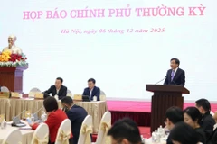 Họp báo Chính phủ thường kỳ tháng 11. (Ảnh: VGP)