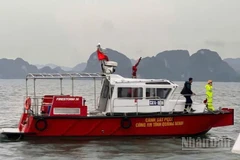 Tỉnh Quảng Ninh huy động lực lượng và phương tiện tổ chức cứu hộ, cứu nạn. (Ảnh: Lương Quang Thọ).