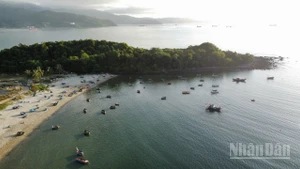 Ghềnh đá Nam Ô, nơi giao thoa giữa thiên nhiên kỳ vĩ và đời sống làng chài truyền thống.
