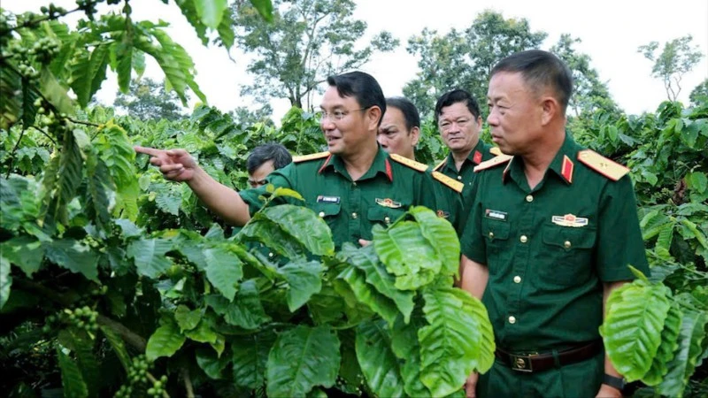 Đại diện Công ty Cà-phê 15 tham quan vườn.