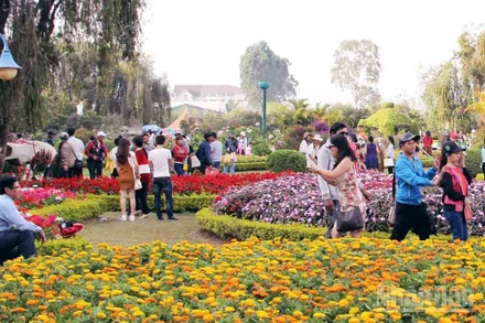 Du khách trải nghiệm vườn hoa trên địa bàn phường Lâm Viên, Đà Lạt.