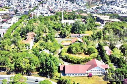 Khuôn viên xanh Trường đại học Đà Lạt.