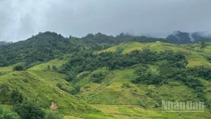 Với diện tích hơn 265km2, xã Xốp có tiềm năng phát triển vùng dược liệu, cây công nghiệp như cà-phê, sâm, bời lời, cây chè, thuốc lá...