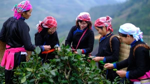 Du khách Việt Nam trải nghiệm văn hóa tại bản Liền (Lào Cai). (Ảnh: CAO HƯƠNG)