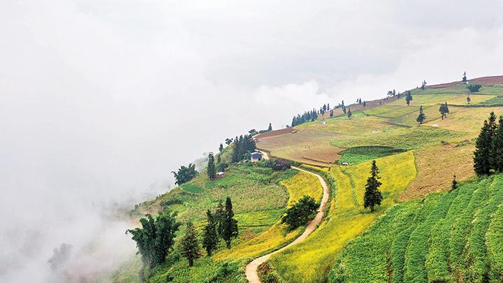 Toàn cảnh thảo nguyên Suôi Thầu vào sáng sớm.