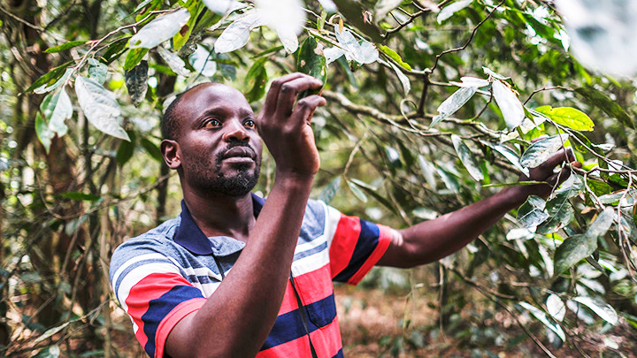 Ông Nathaniel Mkombola đều đặn đi tuần tra rừng Ngangao. Ảnh: LE MONDE
