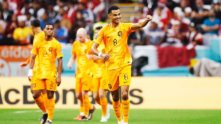 Vẻ đẹp Cody Gakpo