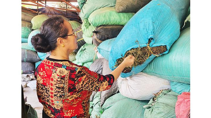 Lương y Nguyễn Thị Nguyệt cùng kho thuốc nam.