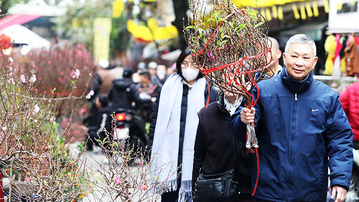 Người dân mua đào chơi Tết tại chợ hoa Hàng Lược. Ảnh: ANH QUÂN