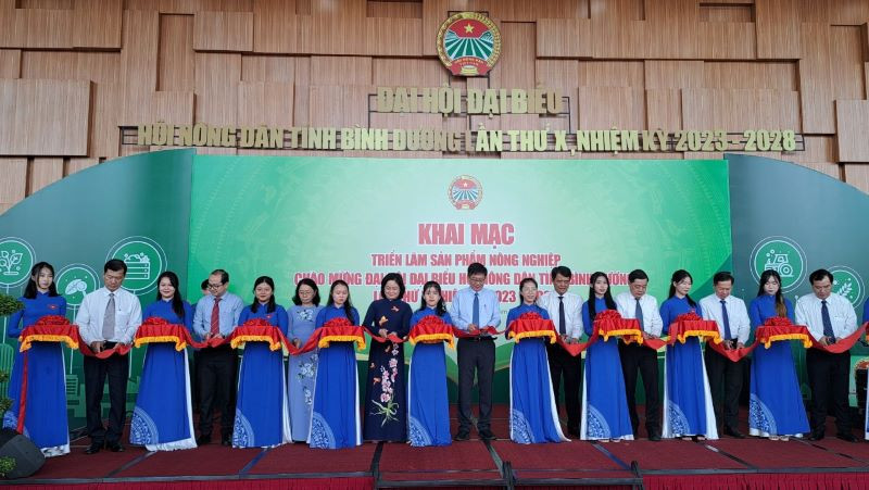 Các đại biểu thực hiện nghi thức khai mạc triển lãm.