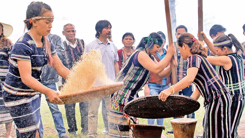 Đồng bào dân tộc Cơ Ho thi giã gạo trong Ngày hội văn hóa các dân tộc thiểu số tỉnh Lâm Đồng.